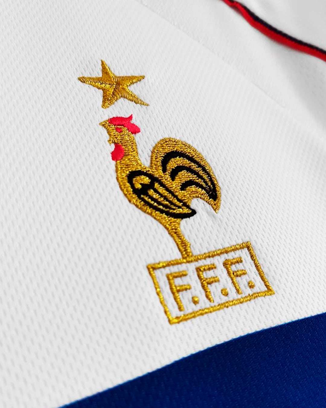 Francia Mundial 98 Visita
